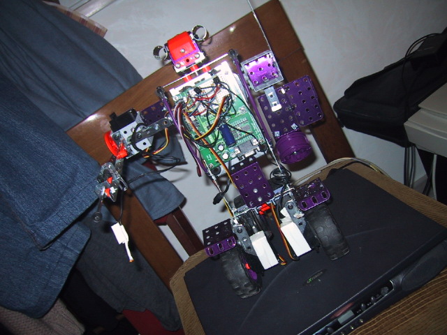 100_0031_IMG (16).JPG