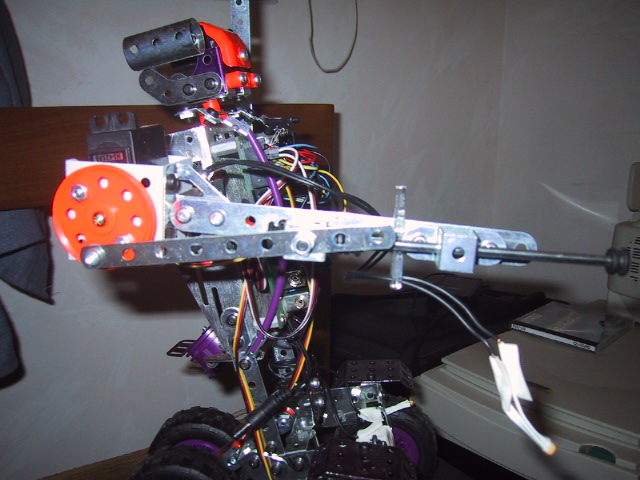 100_0024_IMG (22).JPG