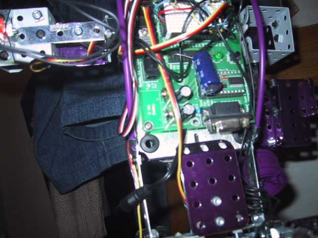 100_0026_IMG (12).JPG