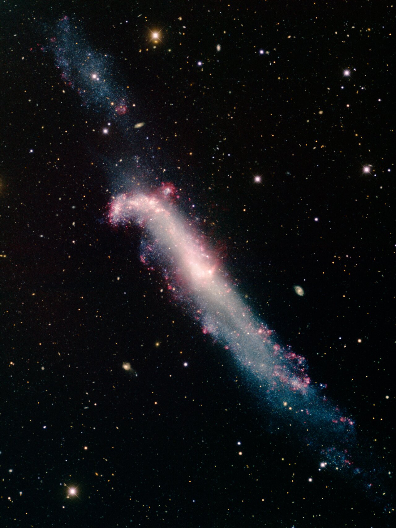 noao-ngc4656.jpg